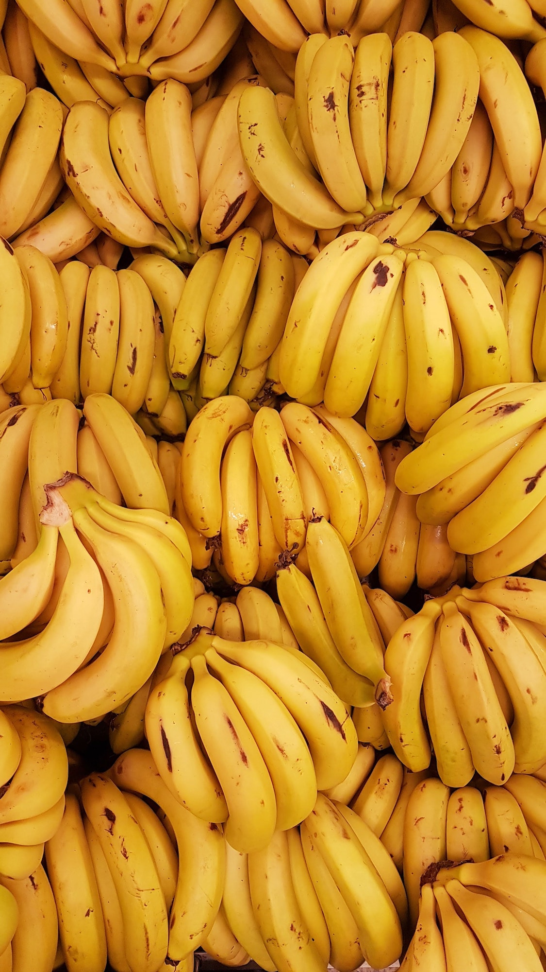 Fresh Organic Bananas Approximately 3 Lbs 1 Bunch of 6-9 Bananas